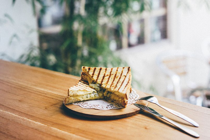 Lonely Grilled Cheese Sandwich